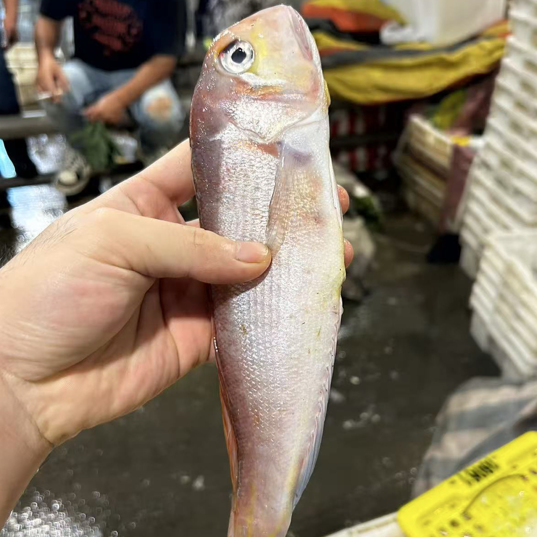 【四斤斧头鱼】东海野生斧头鱼海捕新鲜