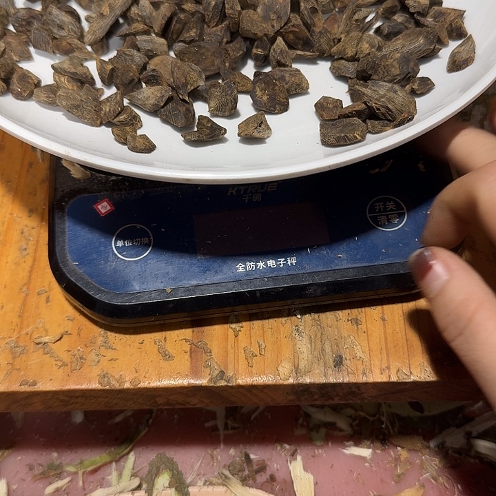 美***月木质纯铜沉水蓝宝石树丁145克