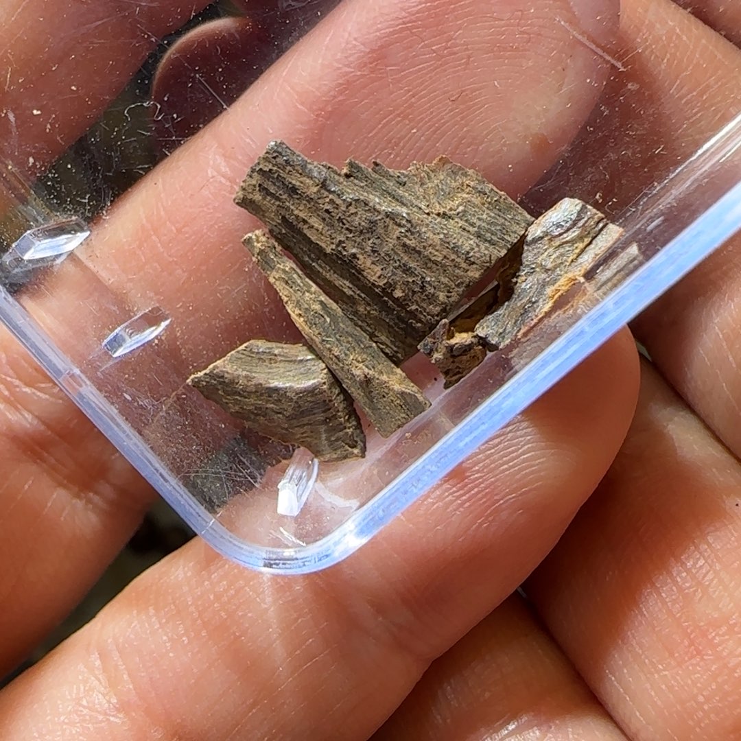 沉香沉香碎屑0.37克富森红土沉水