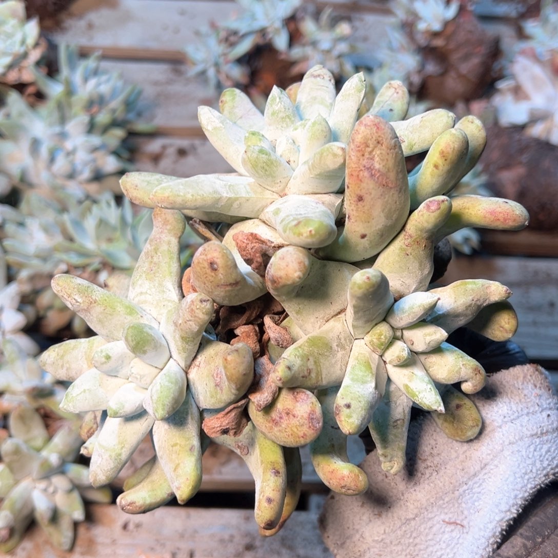 7896哈哈哈哈哈哈哈