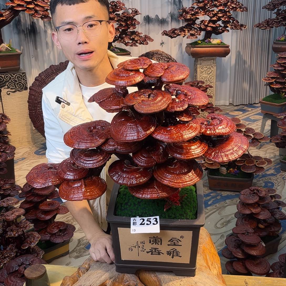 无花朵88888888889