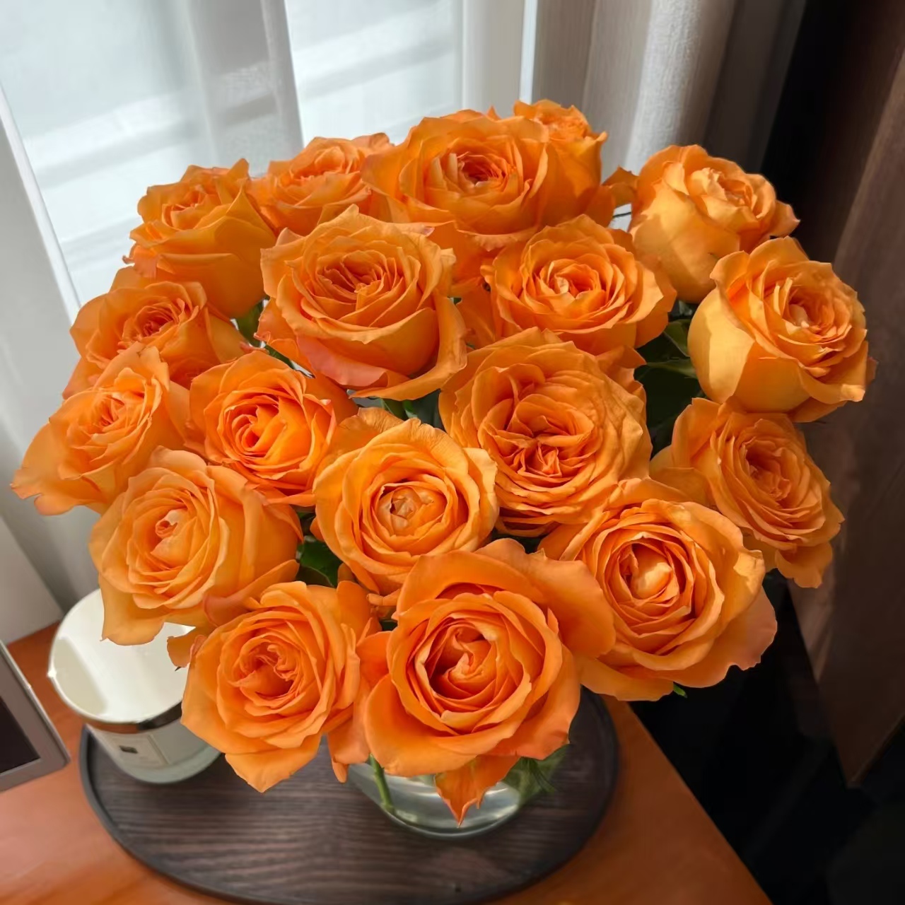 10枝国王日单头玫瑰【两单顺丰冷链或京东快递】云南家用鲜花直发