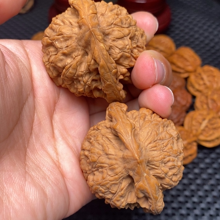 秦岭野生11111111111