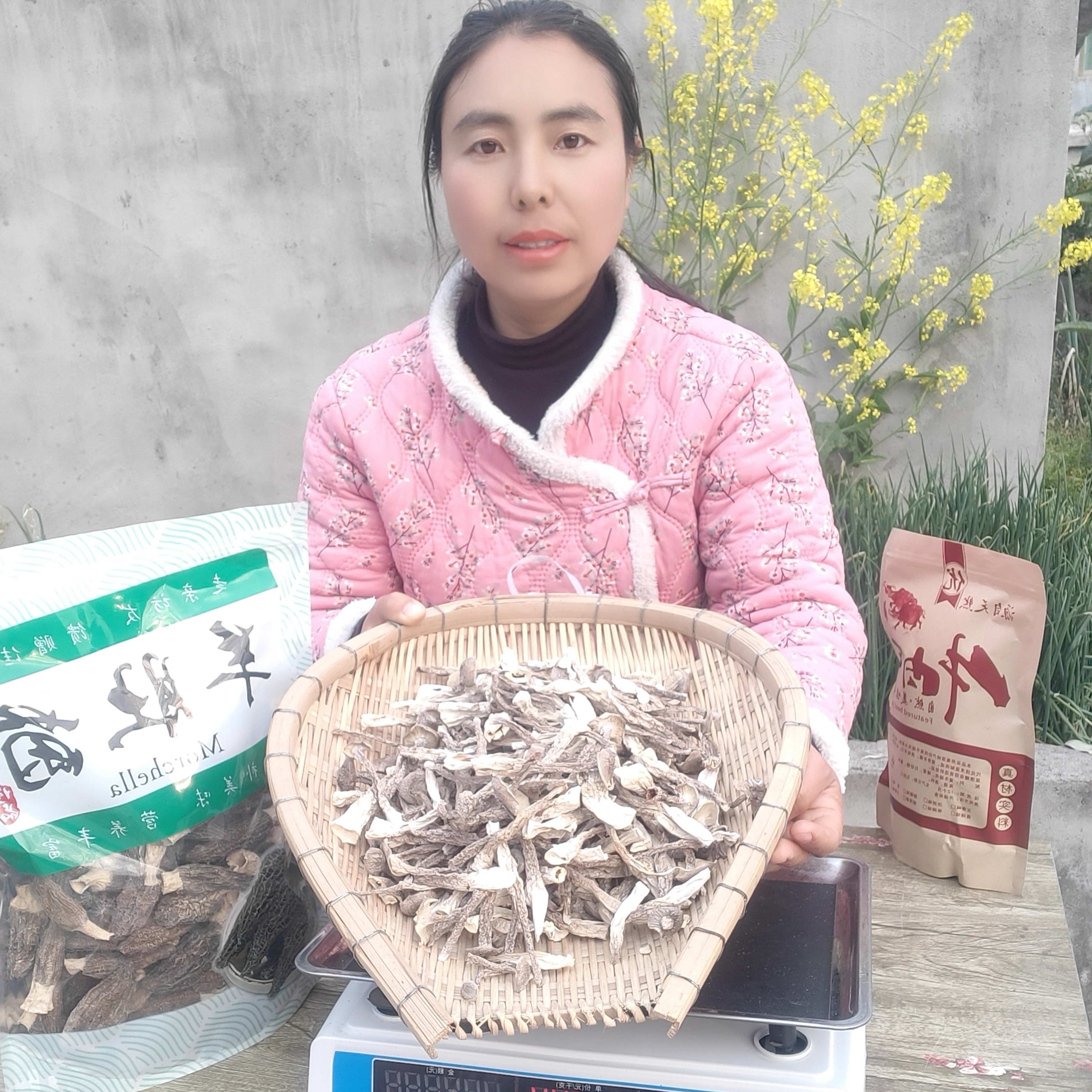 鹿茸菇鲜香脆嫩500g，新疆，西藏，内蒙古不包邮