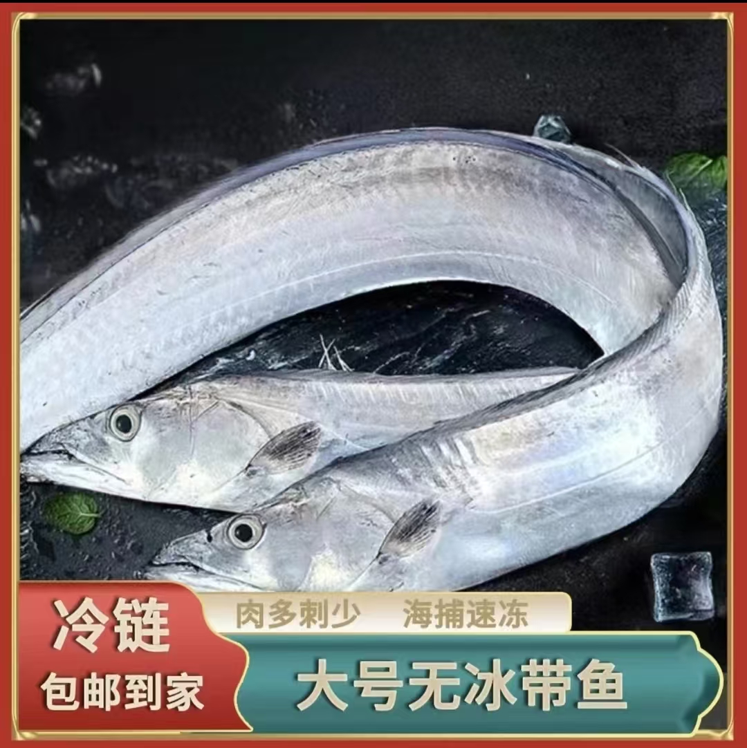 【顺子J】野生小眼油钓带鱼 5-6两/条  整条香煎油炸  无冰