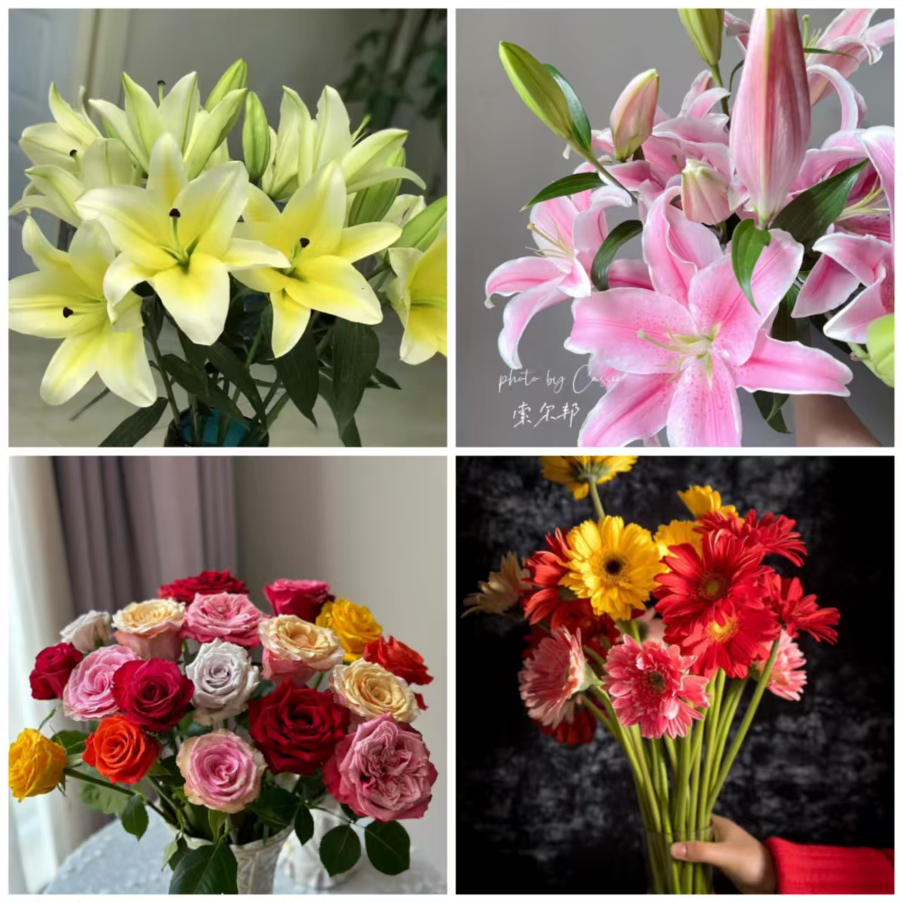 端午节福利鲜花大礼包 居家办公优选 （东北基地发货）