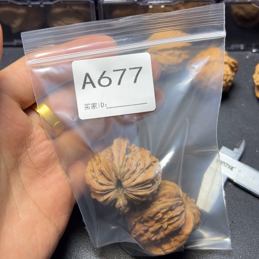 核桃把件哈哈哈哈