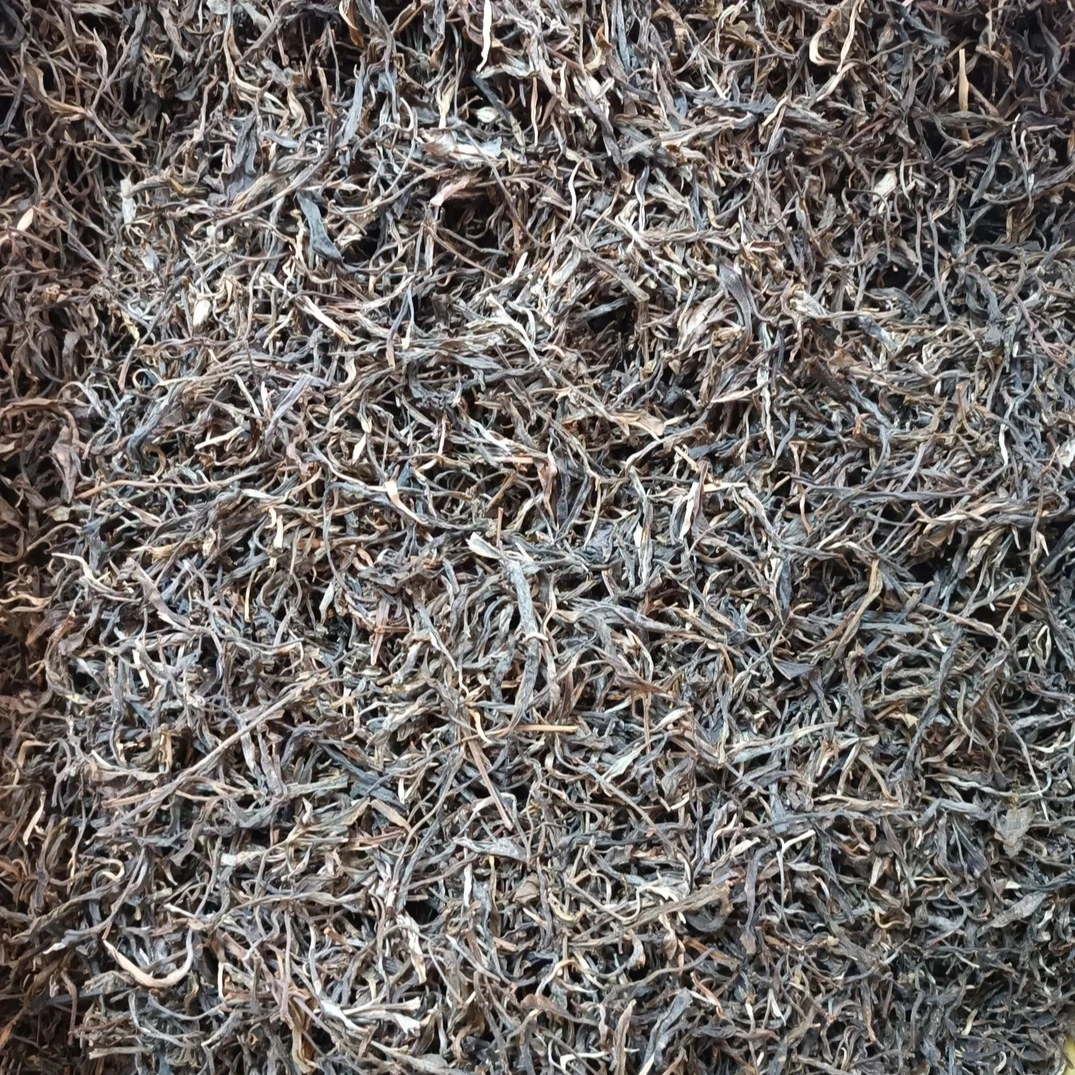 普洱生茶散茶大雪山大树头春壹