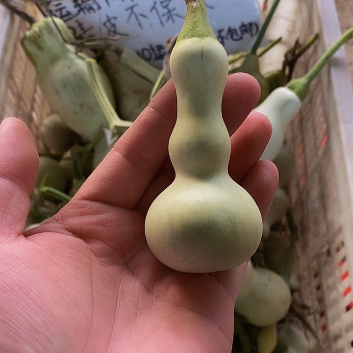 f****～哈哈哈哈哈哈哈哈哈哈哈