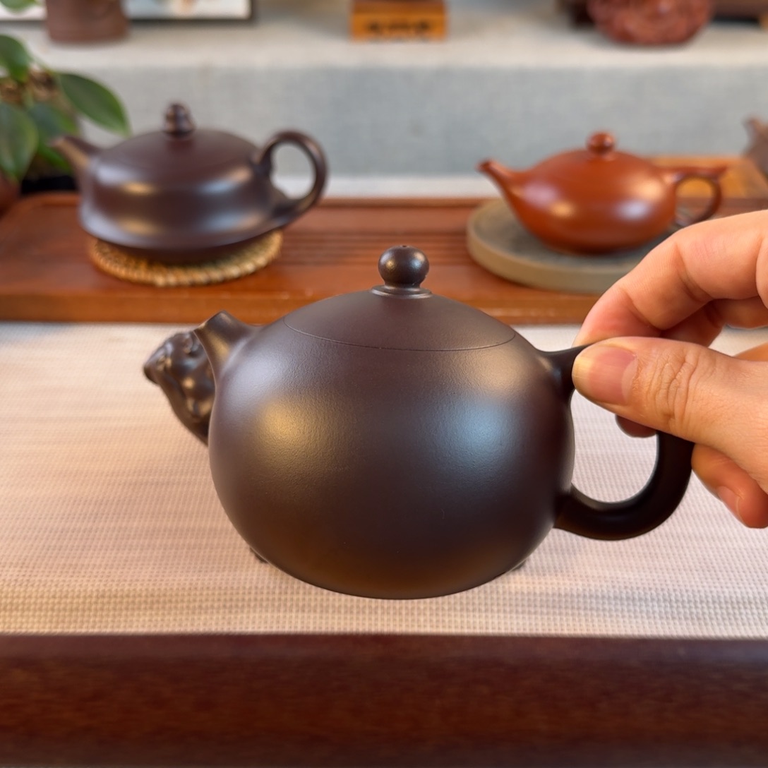 茶壶紫砂紫砂西施何老师紫砂