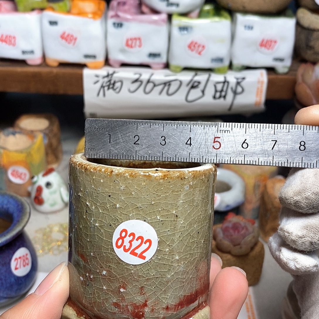 红陶拍5送一个小