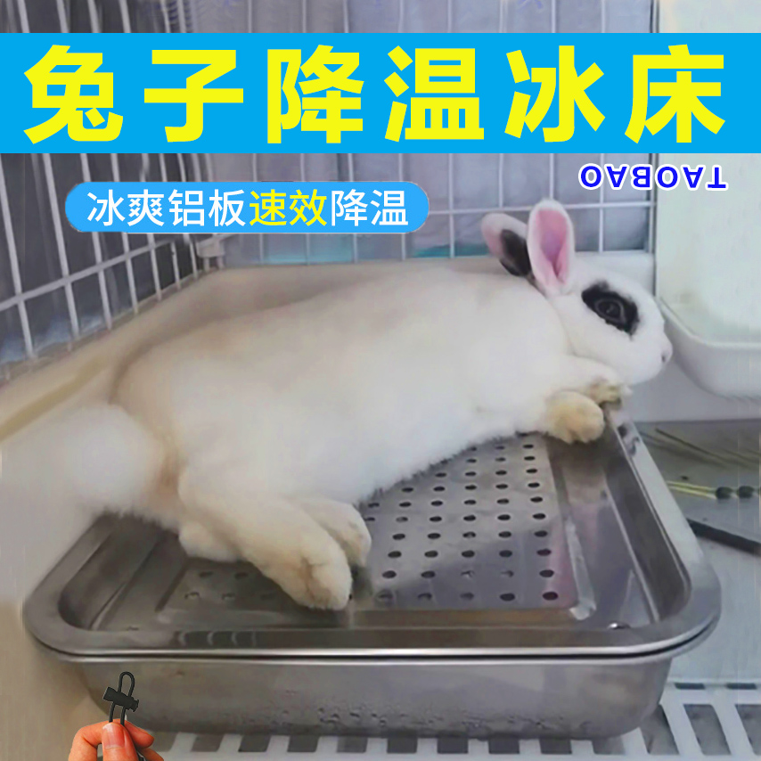 小兔子冰窝夏天降温防热神器侏儒兔凉席豚鼠荷兰猪刺猬睡觉专用窝
