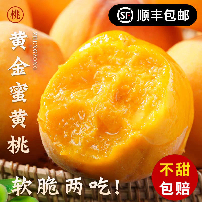 【顺丰】山东黄桃新鲜应季黄桃现摘现发脆甜多汁