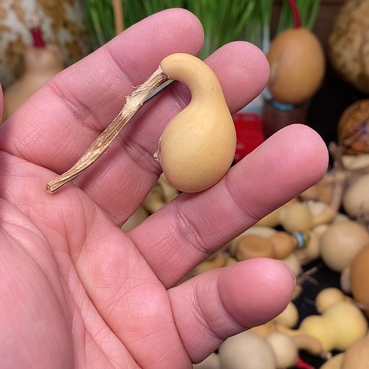 莎*精品葫芦手把葫芦111