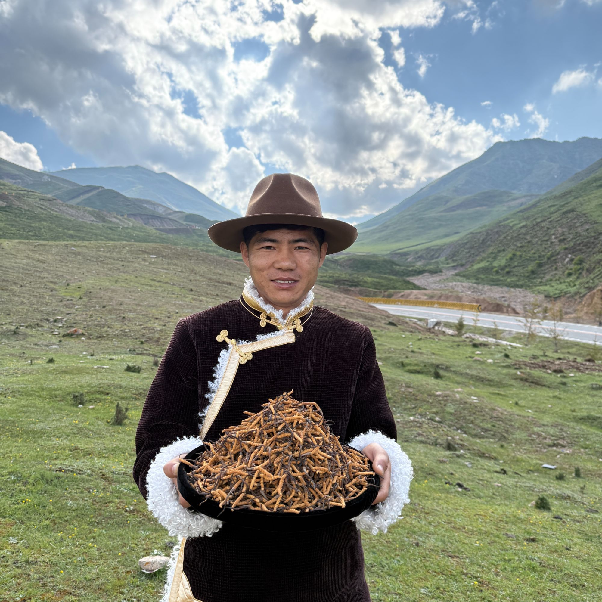 【冬虫夏草】中大断草高品质高海拔冬虫夏草