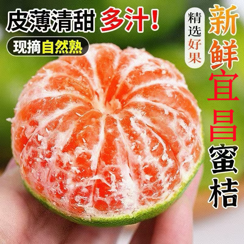 【正宗】湖北宜昌蜜桔蜜橘青皮当季新鲜现货青皮无籽孕妇水果酸甜