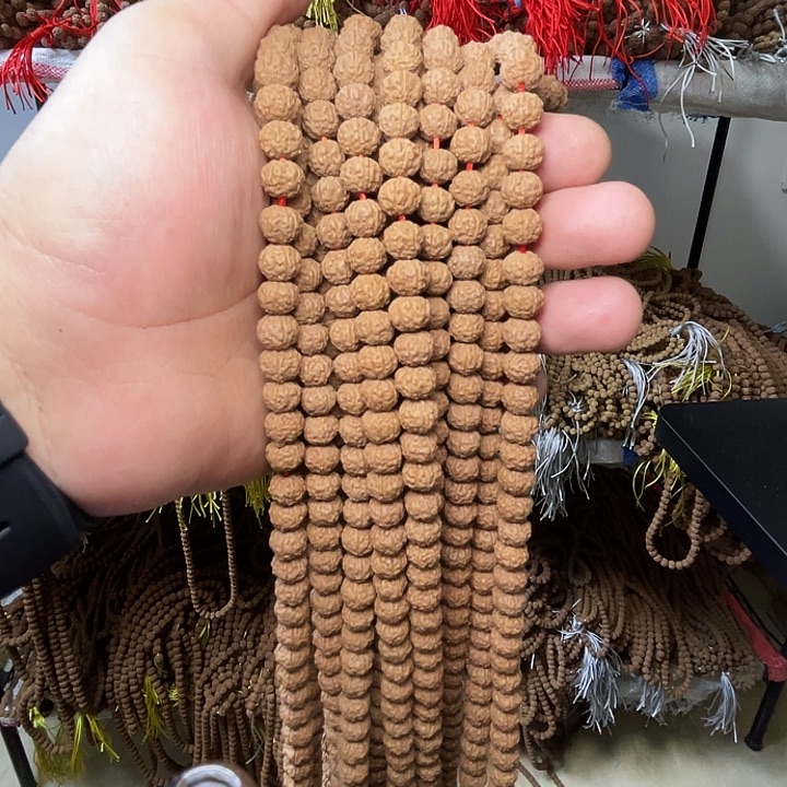 趣****金刚菩提吊坠10条宫灯