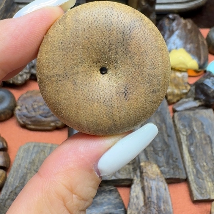 大叶紫檀（黑酸枝木类）