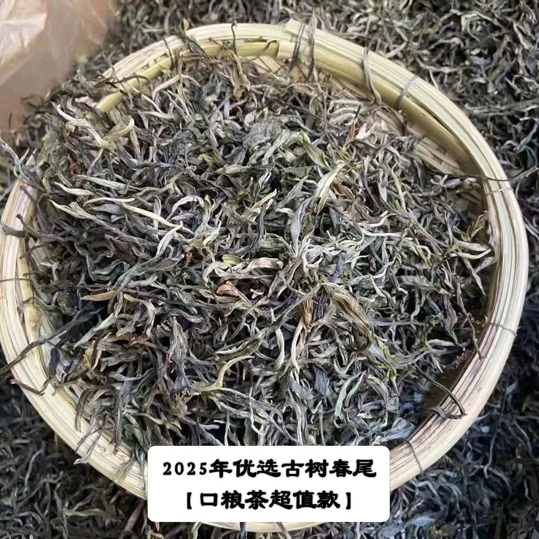 【副支书严选】纸山箐2025年古树春尾茶/散料，拍10公斤到手11公斤。