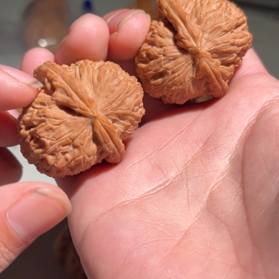 文玩核桃吊坠白狮子