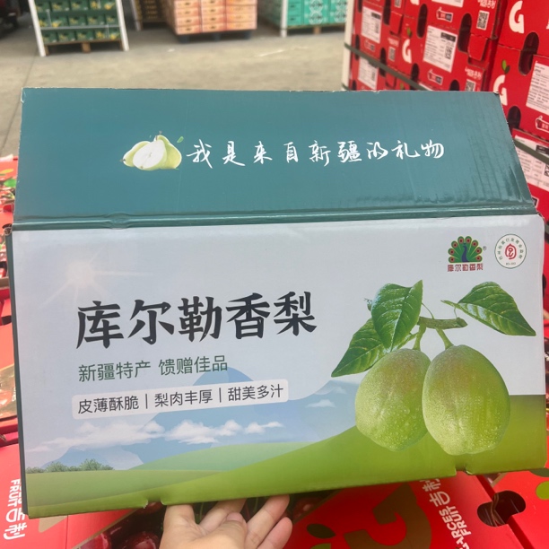 新疆库尔勒香梨  甜甜水水果肉细腻 5斤/10斤