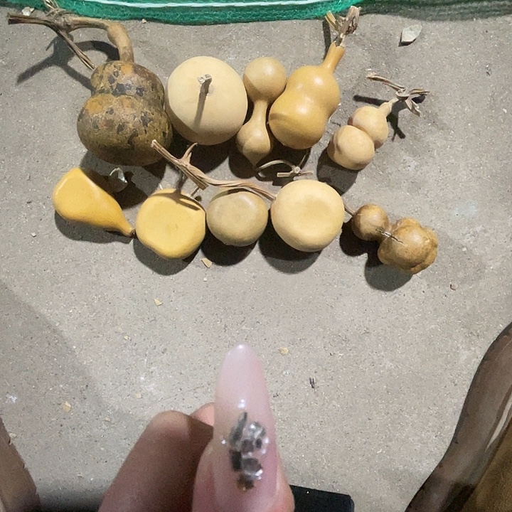 葫芦非常可爱啊好可爱