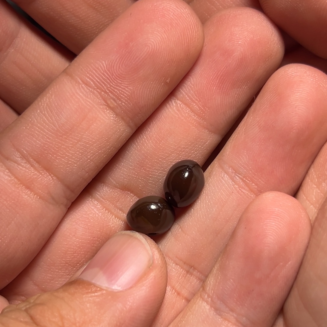 瑪****玛瑙/玉髓未镶嵌珠宝奇石