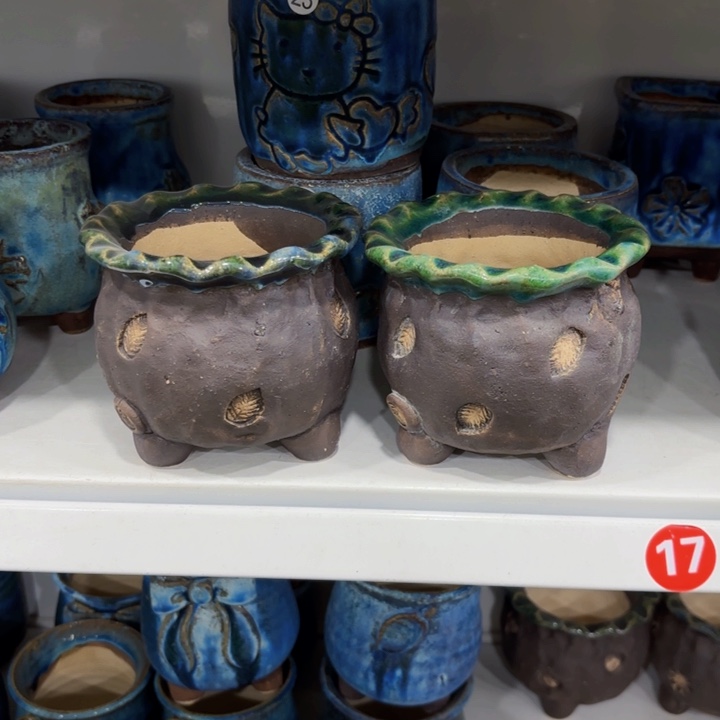 内口9高10左右，2个