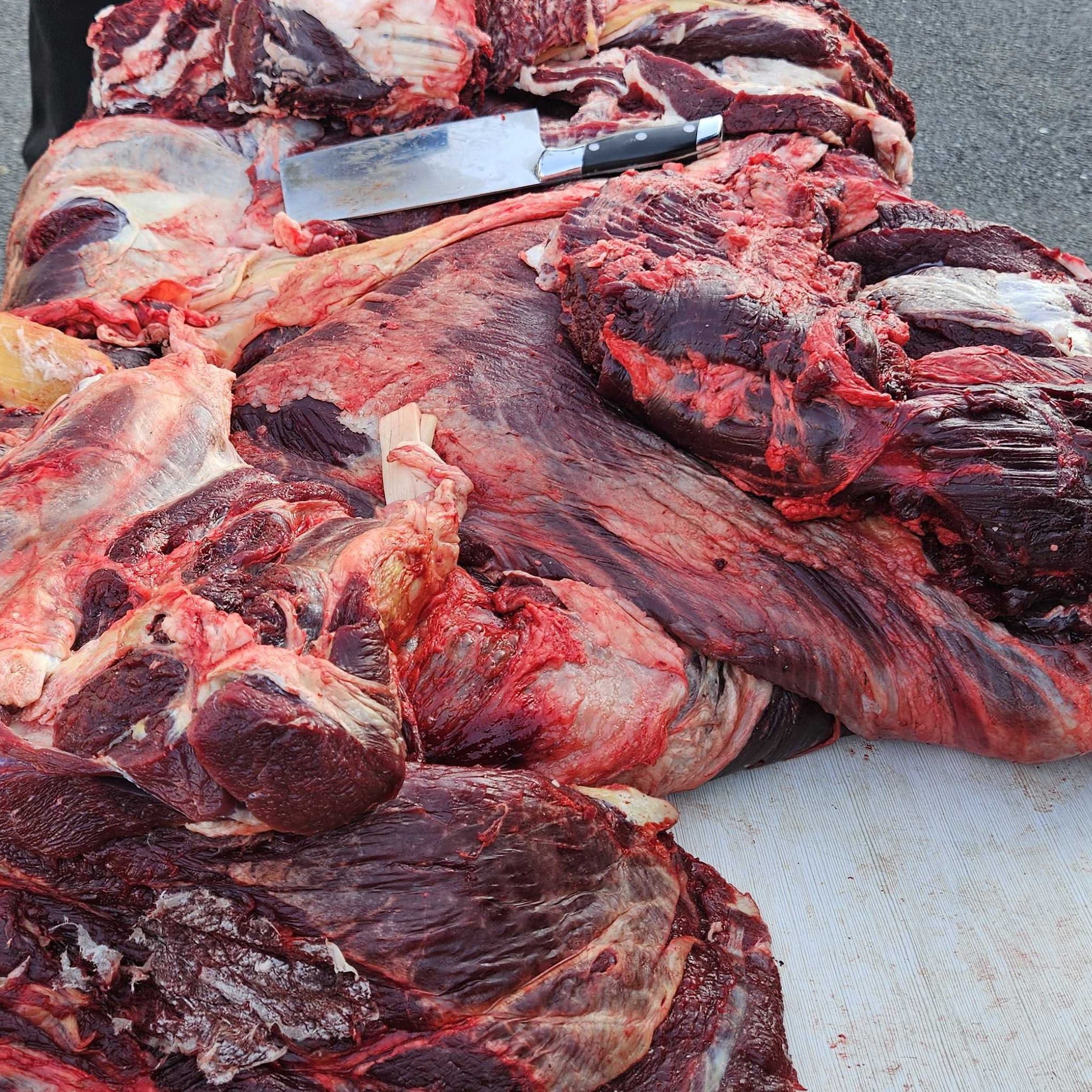 【兵支书推荐】黄牛书记切的碎肉