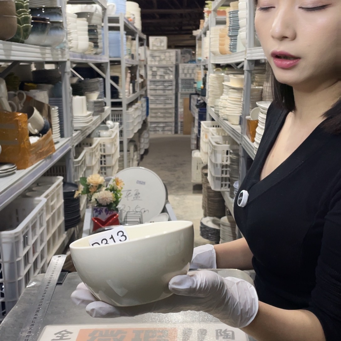 瓷片313                6个