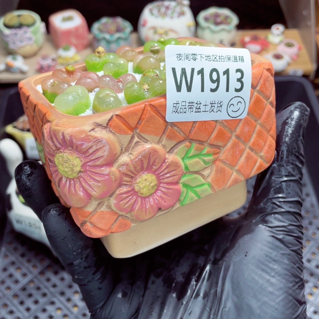 夜间零下地区拍保温箱w1913