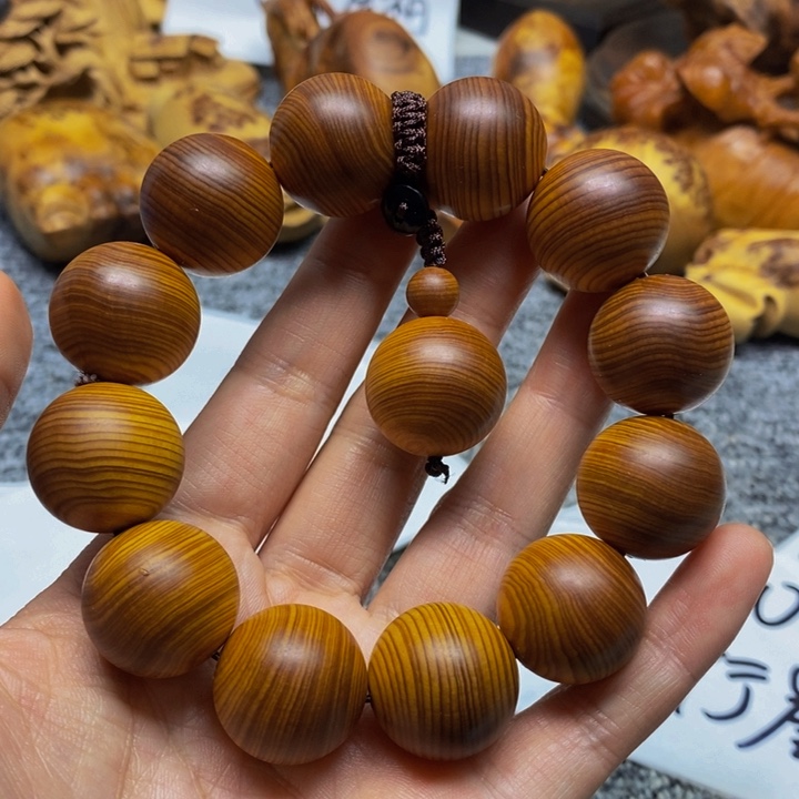 柏木（崖柏）崖柏16