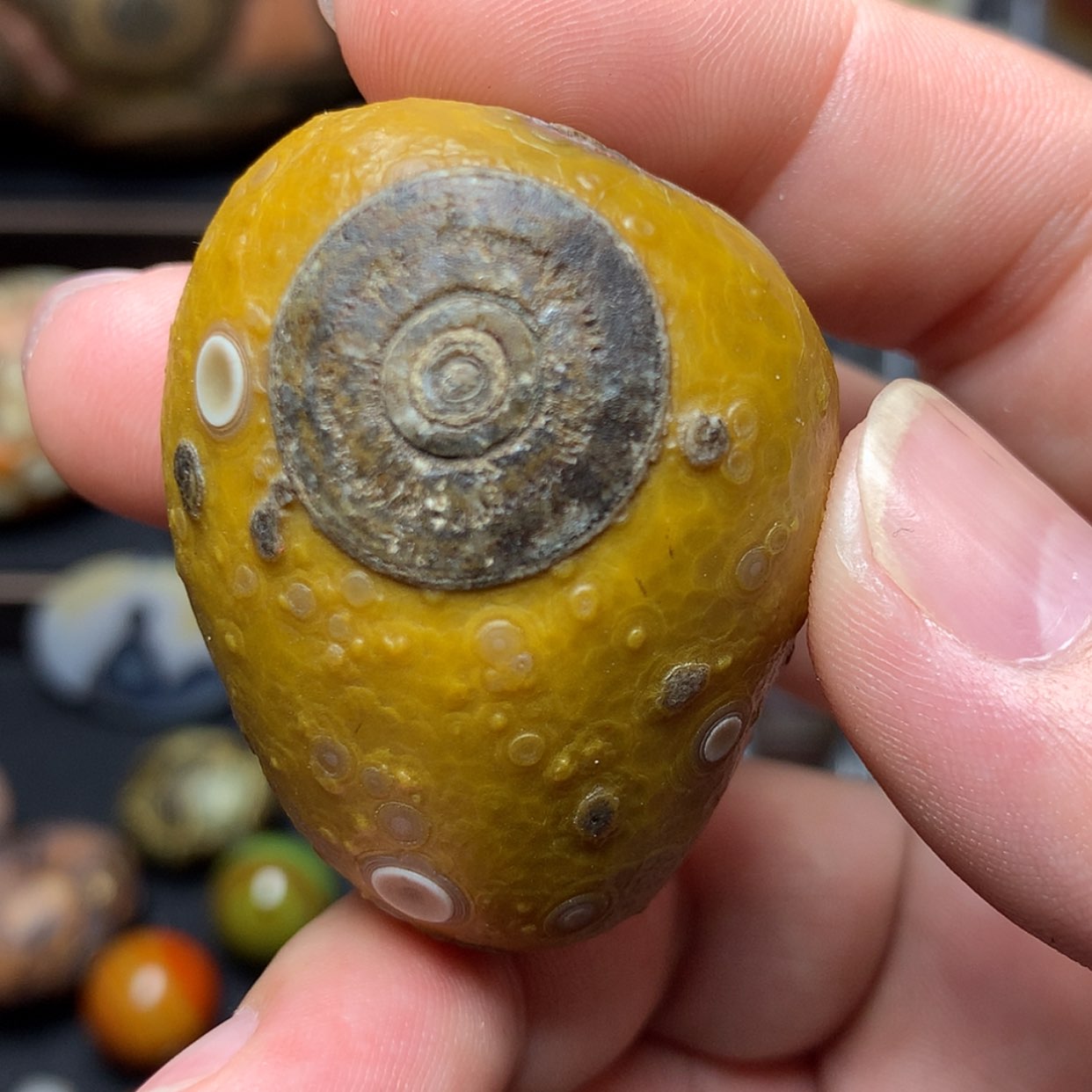 【闪购商品】玛瑙/玉髓吊坠(不含链)未镶嵌