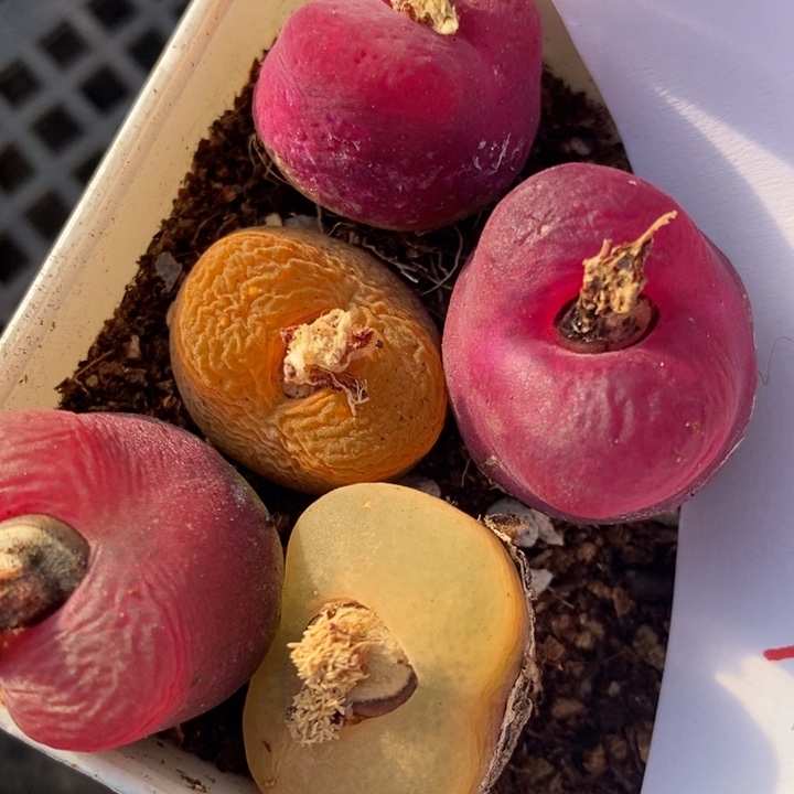 2820一组一组一组