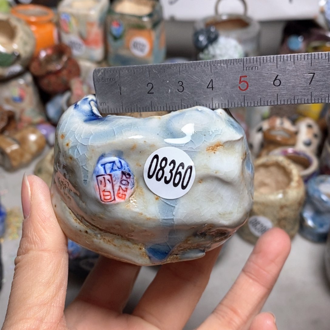 花盆拍3送一个小礼物