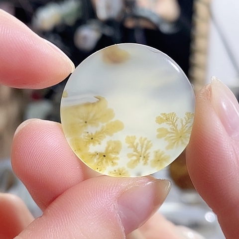 玛瑙/玉髓珠宝奇石未镶嵌