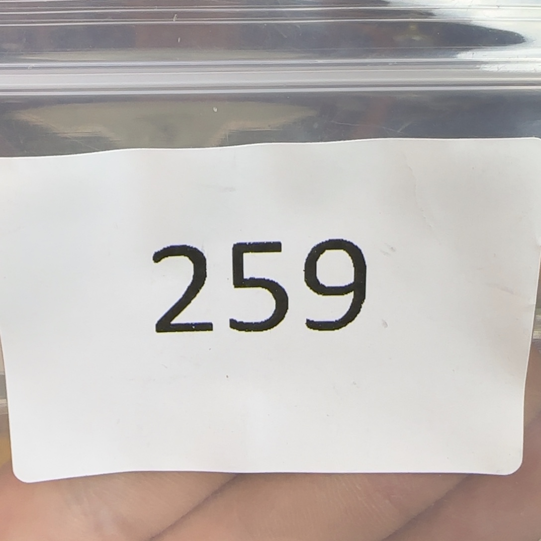 开播福利大漏多多