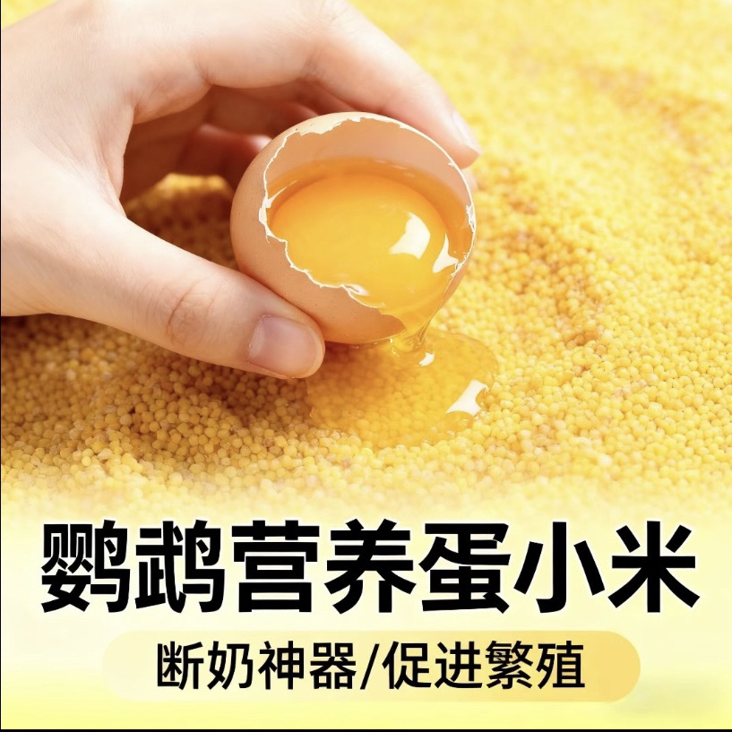 鹦鹉断奶学吃蛋小米养殖场自配高营养踩背催蛋小米提高鹦鹉繁殖