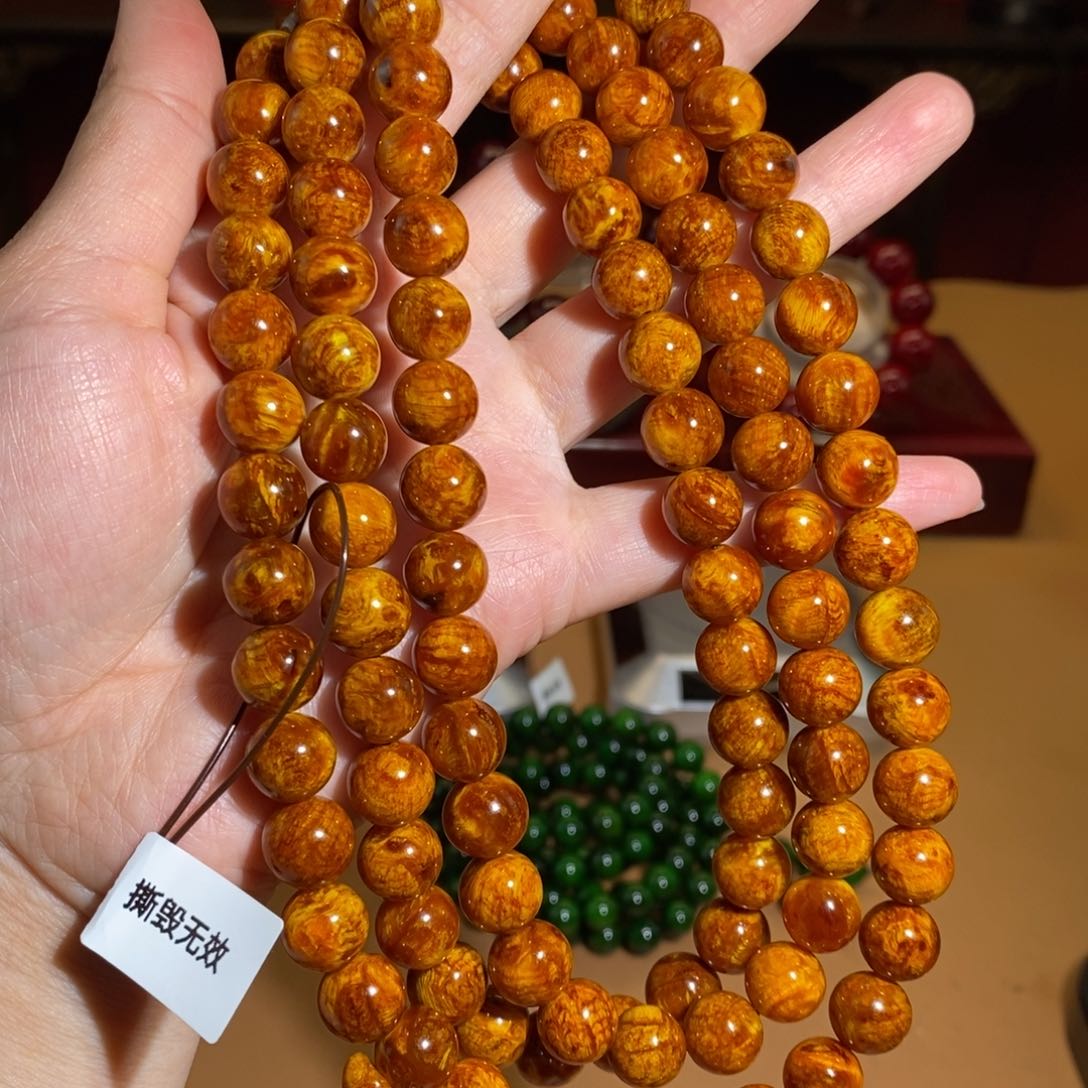 贝壳杉帝王血龙木1.0/108颗爆满瘤疤天花板万年老古董