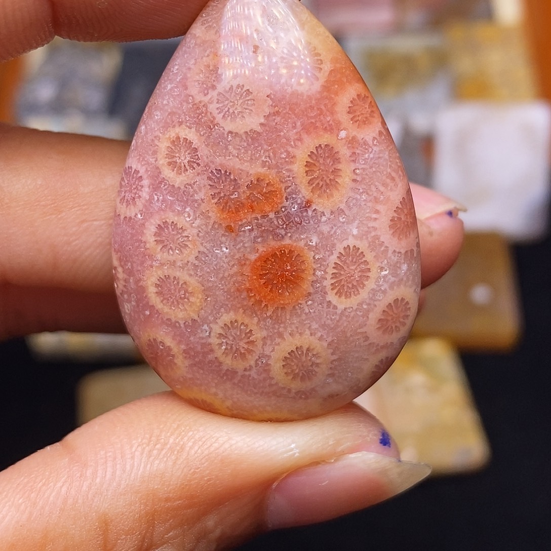 看***啥合金珊瑚玉硅化玉