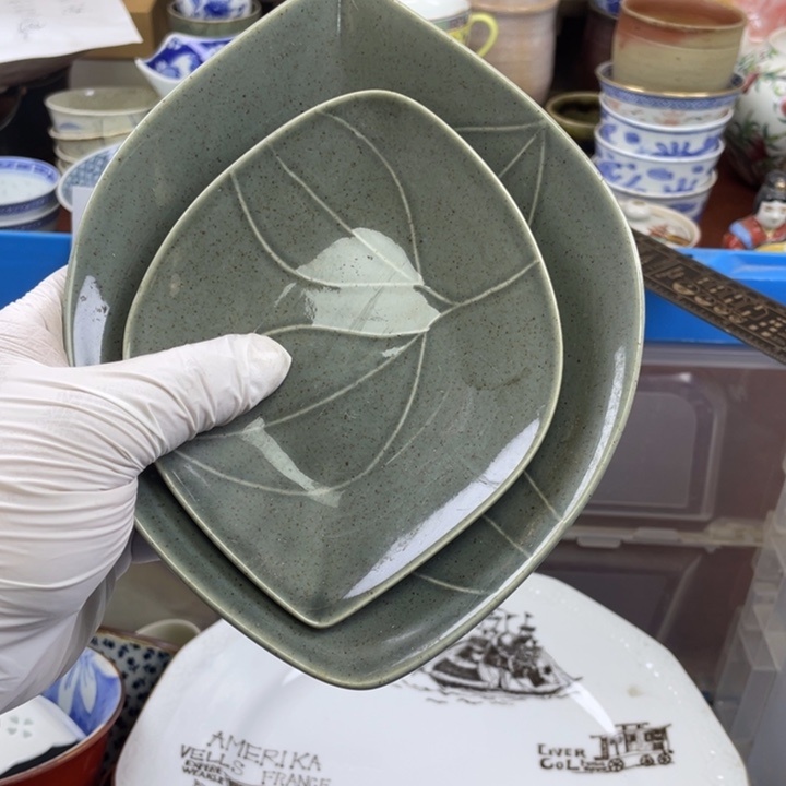 碟开播了开播了开播了