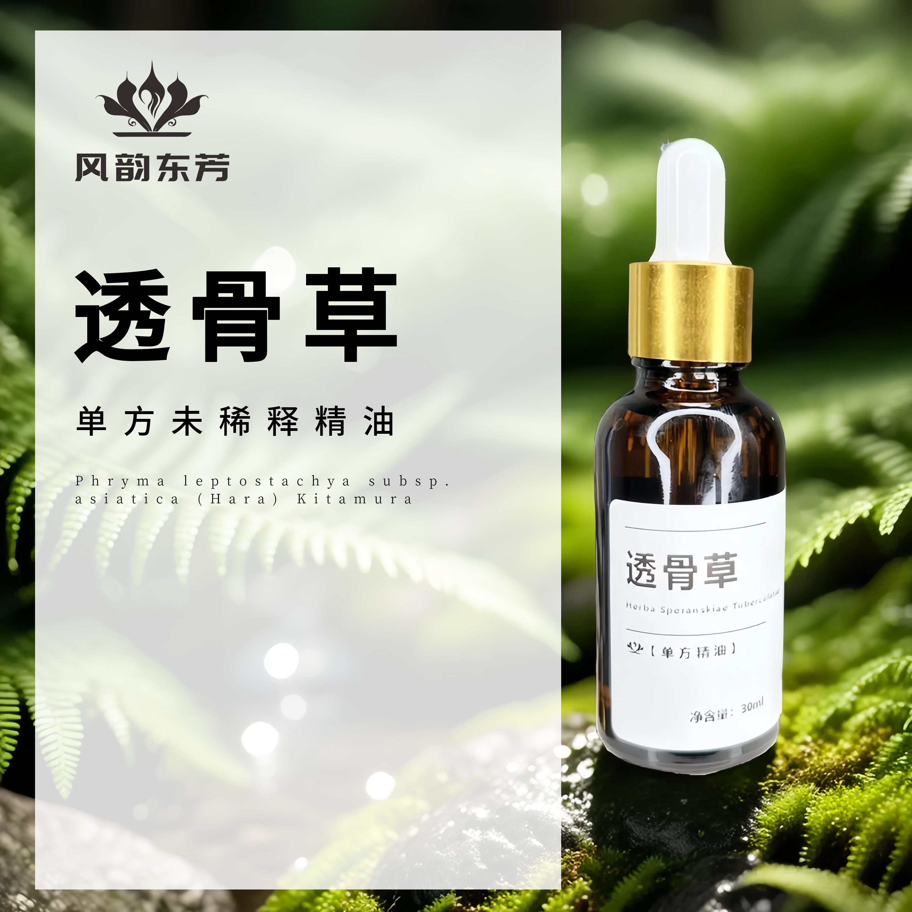 【透骨草单方精油】（纯原油未稀释）          风韵东芳原料试样香薰