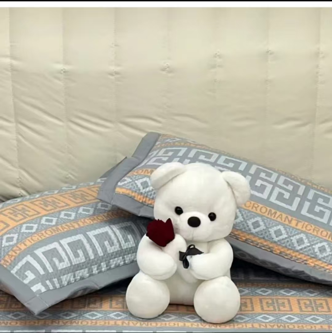 夹棉枕套一对装枕头套48x74cm单个单只枕芯内胆套枕芯套