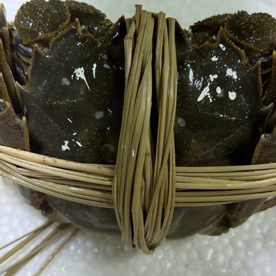 【鲜活】大闸蟹（保活）母3.3-3.5两/母蟹/共10只