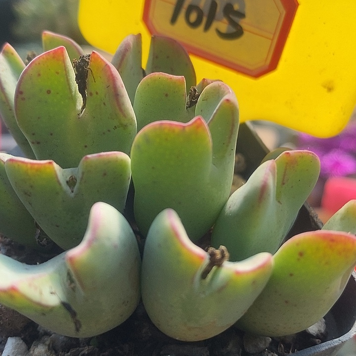 在一起就是不知道有7015