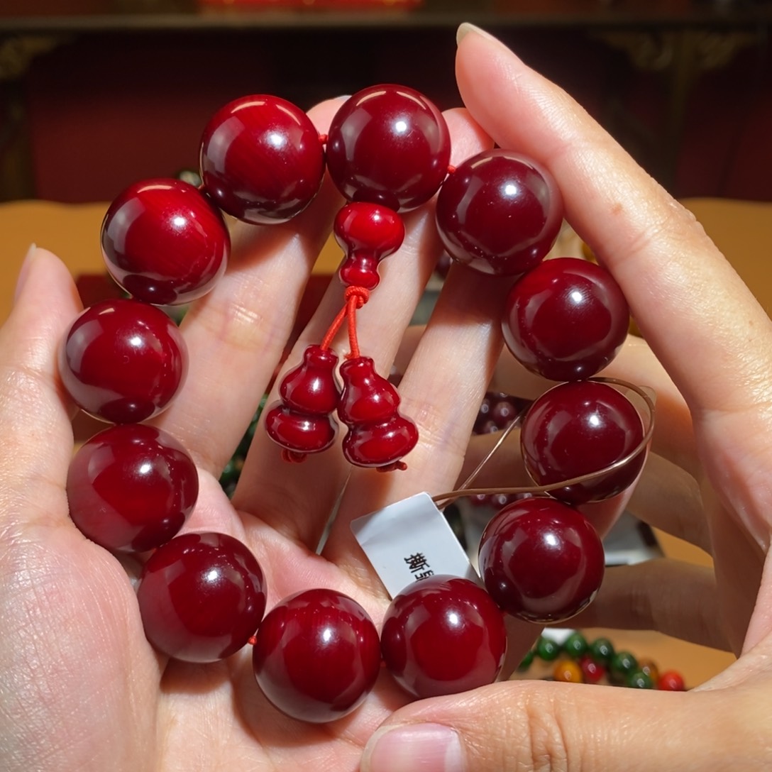 贝壳杉2.0 帝王血龙木千年高货