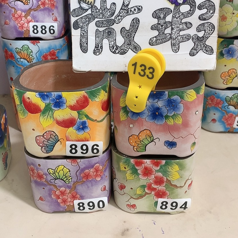 【闪购商品】红陶楊*