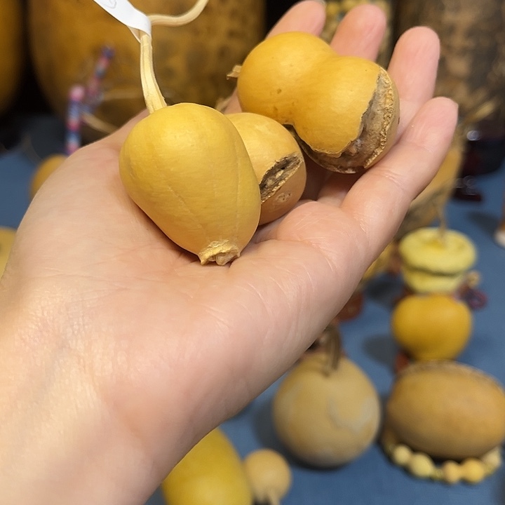 -***_大叶紫檀（黑酸枝木类）