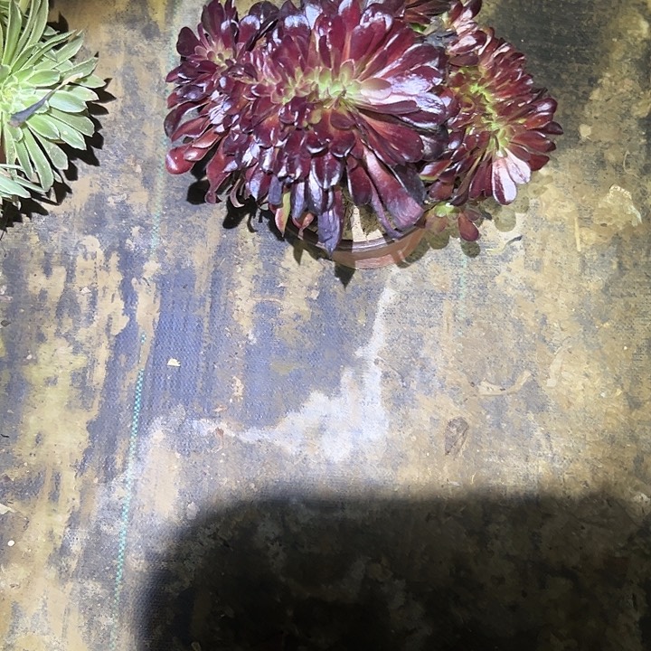 法师一物一拍链接30