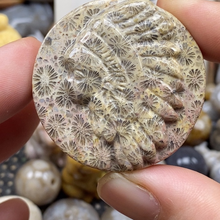 硅化珊瑚（珊瑚玉）未镶嵌颈饰